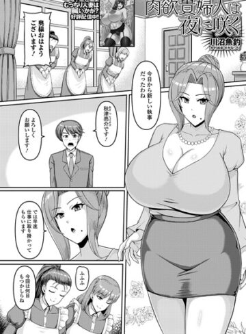 【川沼魚釣】肉欲貴婦人は夜に咲く（単話）（単話） Genre単話 評価