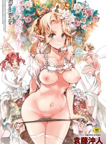 【袁藤沖人】エルフの嫁入り Genre単行本 評価4.00