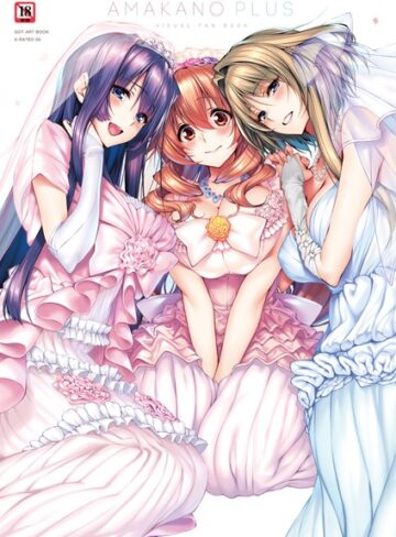 【ピロ水】アマカノ＋ ビジュアルファンブック Genre単行本 評価5.00