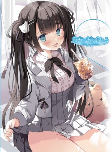 【うりぼうざっか店】貴方と結ばれる 〜Before Marriage、After Marriage〜 Genreフルカラー 評価