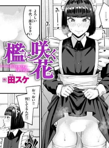 【田スケ】檻に咲く花（単話） Genre単話 評価