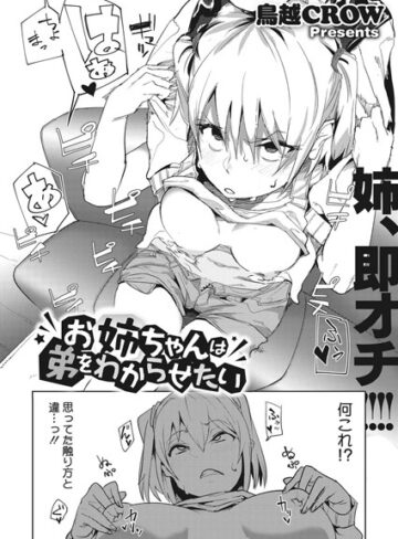 【鳥越CROW】お姉ちゃんは弟をわからせたい（単話） Genre単話 評価3.80