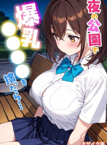 【StudioSR】夜の公園で爆乳●●●●を拾ったら… モザイク版 Genreフルカラー 評価